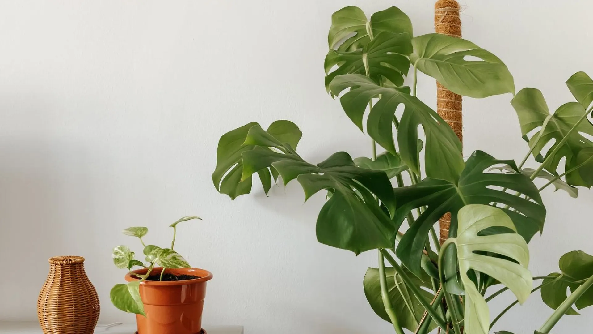 Diogo'S Alcantara Apartment I By Mycelia Lisbon
